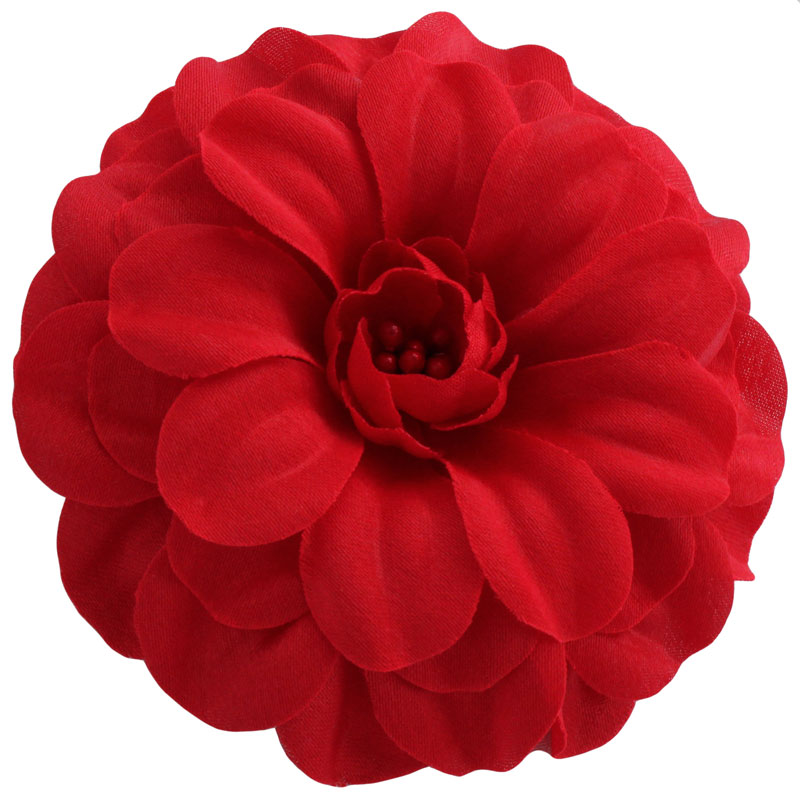 Zinnia